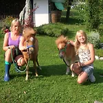 Historischer Bauernhof Schabus Farm stay *
