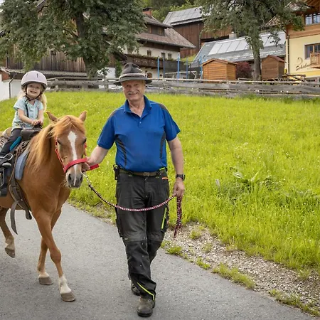 Historischer Bauernhof Schabus ファームステイ Tröpolach