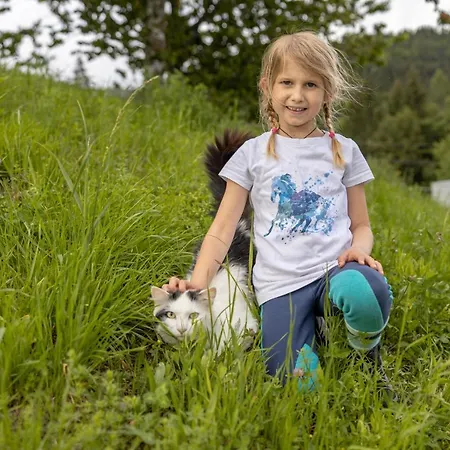 Historischer Bauernhof Schabus Tröpolach
