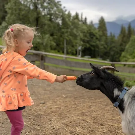 Historischer Bauernhof Schabus Gospodarstwo agroturystyczne Tröpolach