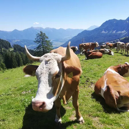 Historischer Bauernhof Schabus Gospodarstwo agroturystyczne *
