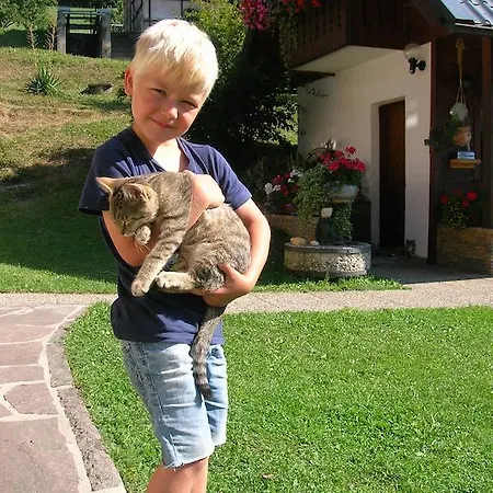 ファームステイ Historischer Bauernhof Schabus Tröpolach