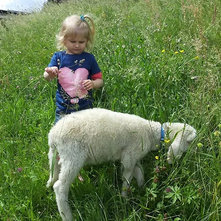 Historischer Bauernhof Schabus Gospodarstwo agroturystyczne Tröpolach