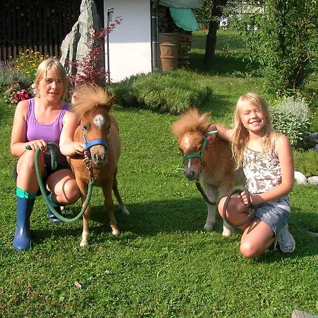 Historischer Bauernhof Schabus ファームステイ *