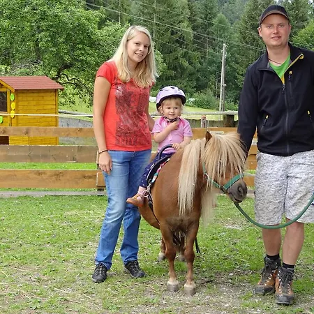 Historischer Bauernhof Schabus ファームステイ *