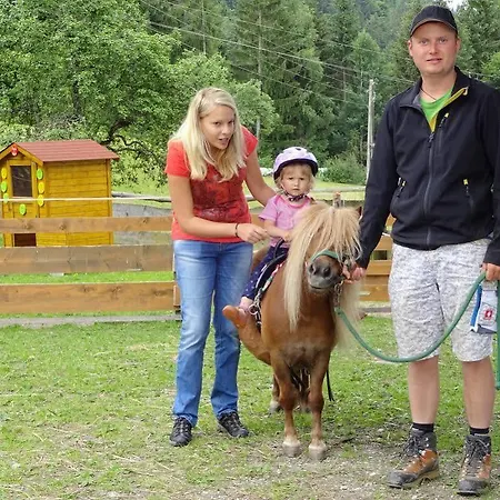 Historischer Bauernhof Schabus ファームステイ *