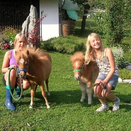 ファームステイ Historischer Bauernhof Schabus Tröpolach