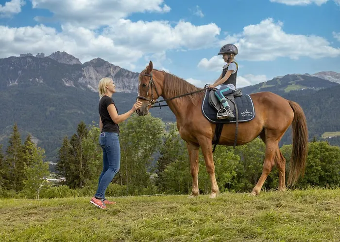 Historischer Bauernhof Schabus Фермерский дом
