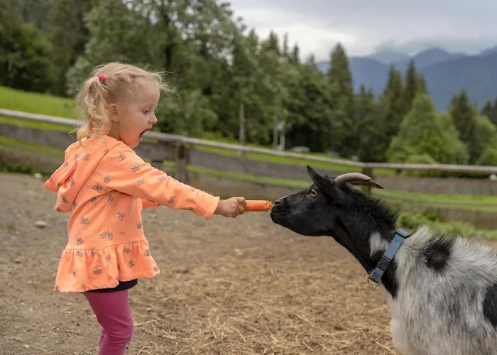 Historischer Bauernhof Schabus Фермерский дом Трёполах
