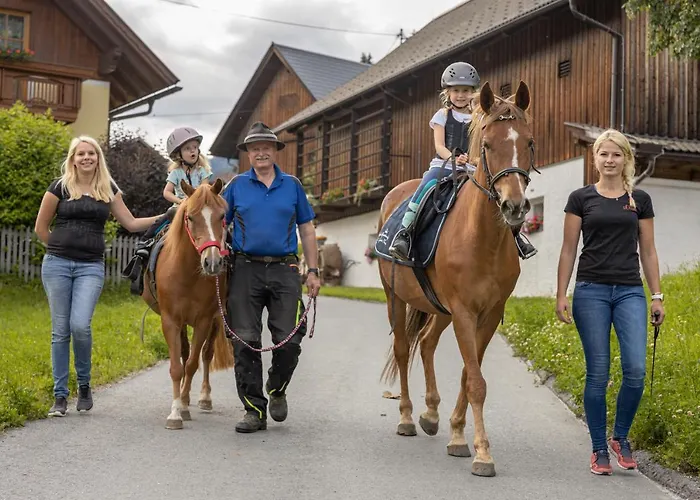 Historischer Bauernhof Schabus *